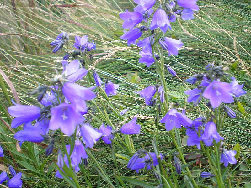 wakacje2008 177.jpg - ...